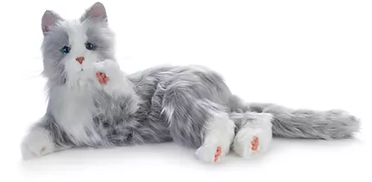 37G2002:Demenzkatze, Therapie - Katze, Kuschelkatze