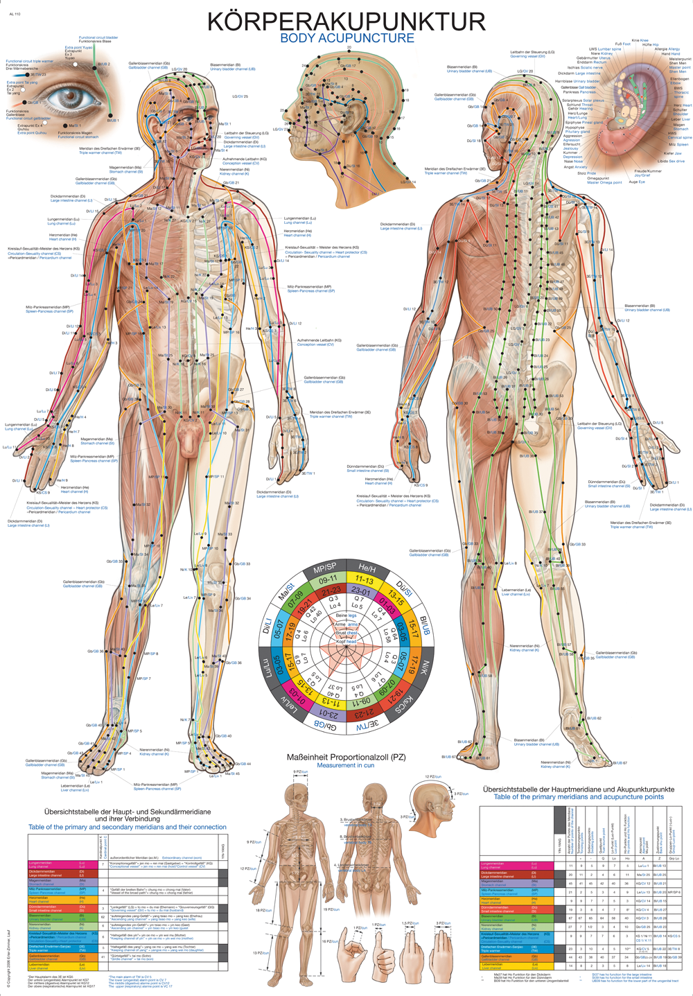 Lehrtafel "Körper-Akupunktur"