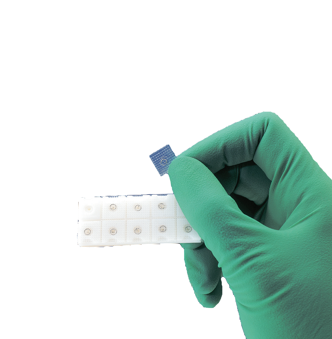 Ohr-Dauernadeln, AKUPUNKTURNADELN