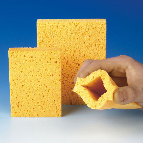 Schwammtaschen