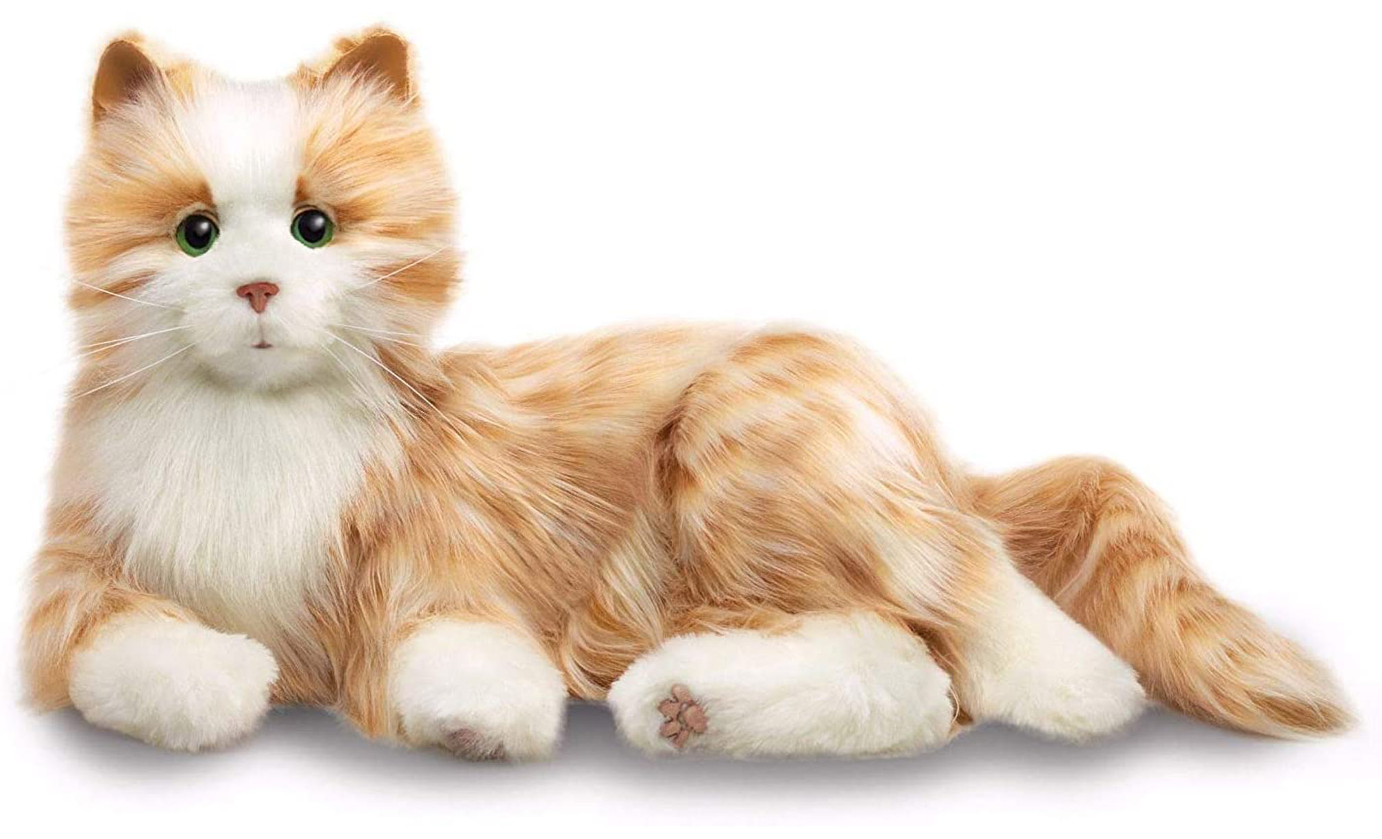 37G2001:Demenzkatze, Therapie - Katze, Kuschelkatze