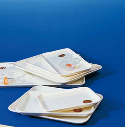 I81400:Instrumententablett, Instrumentenschale

, Instrumentenwanne, Tablett