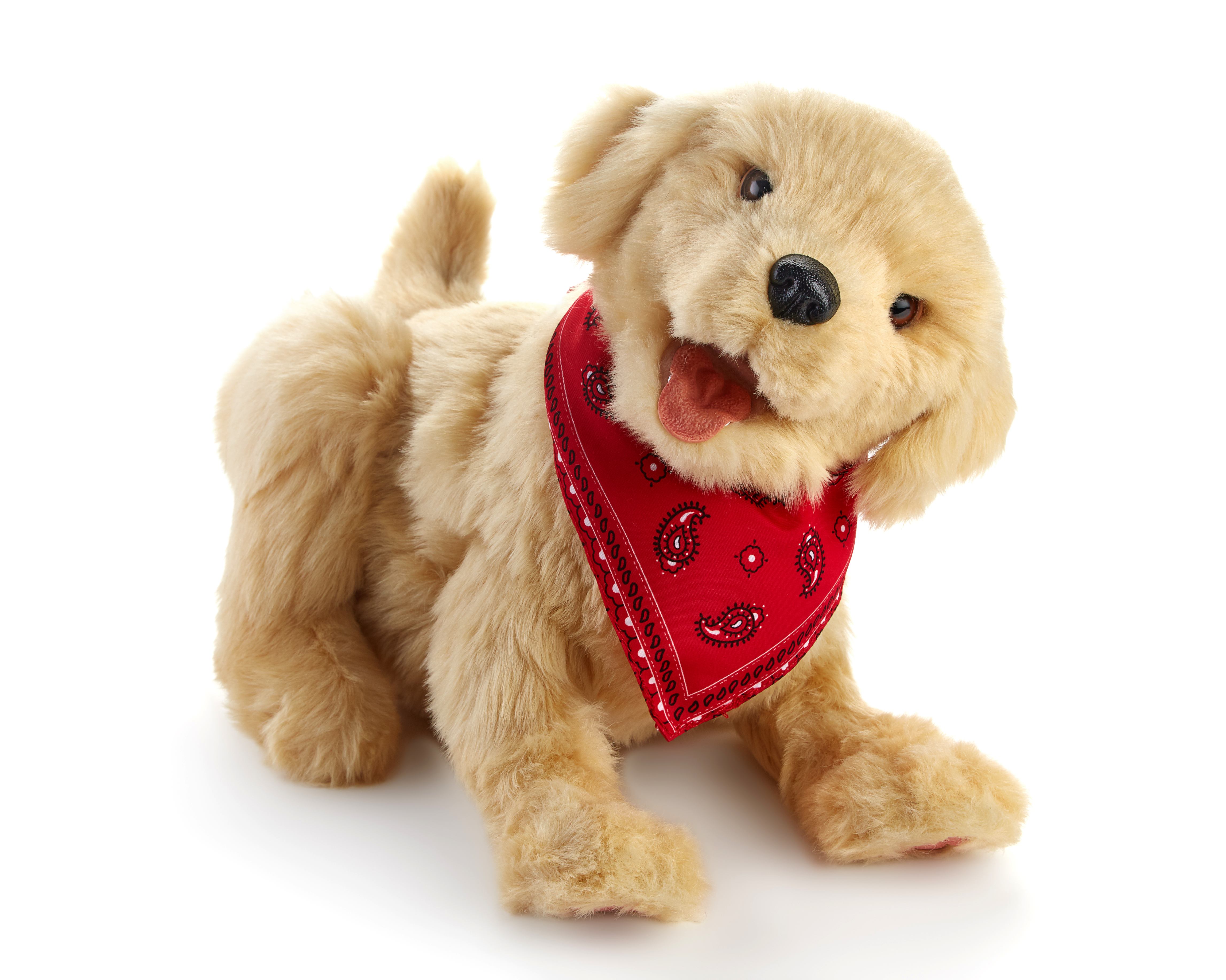 Demenzhund Lucky