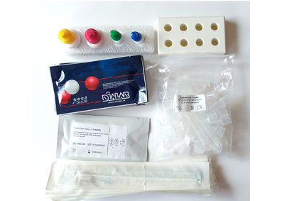 Z98223CE:Streptokokken A Test Dialab (ersetzt Cleartest Strep-A-Test), Dialab Streptokokken A Schnelltest