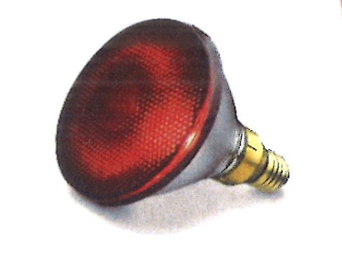Infrarot Ersatzlampe