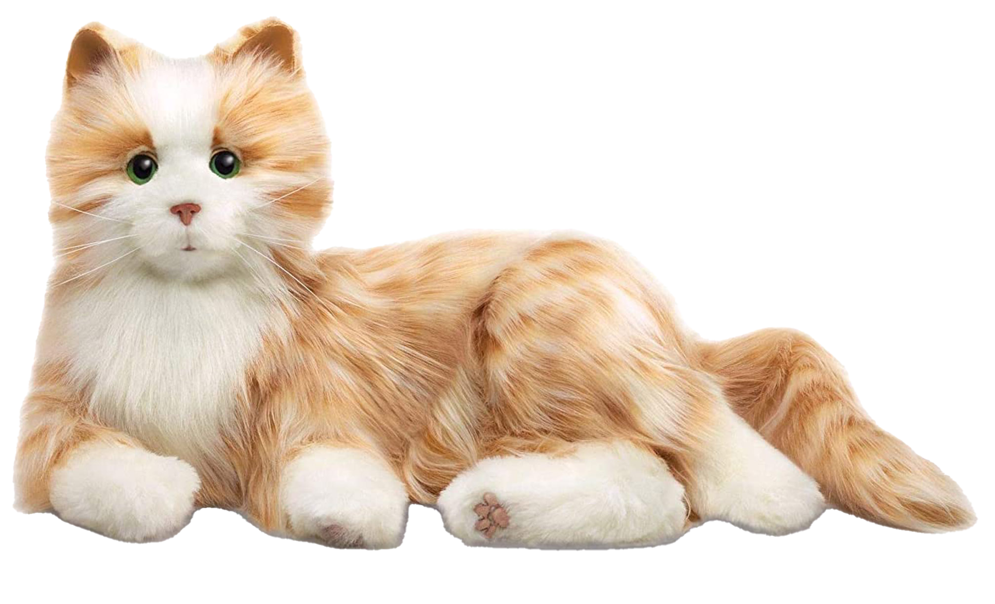 37G2001:Demenzkatze, Therapie - Katze, Kuschelkatze