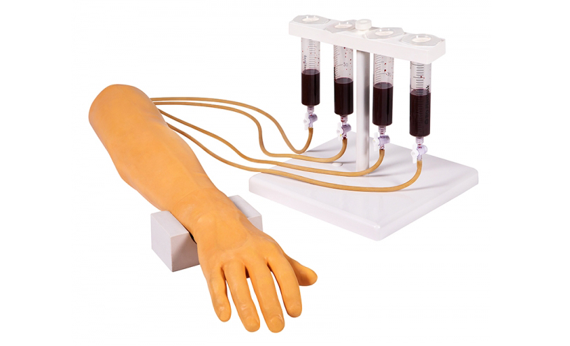 7010:Trainingsarm für intravenöse Injektion und Infusion