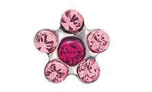 Hochqualitative Ohrstecker aus Chirurgenstahl